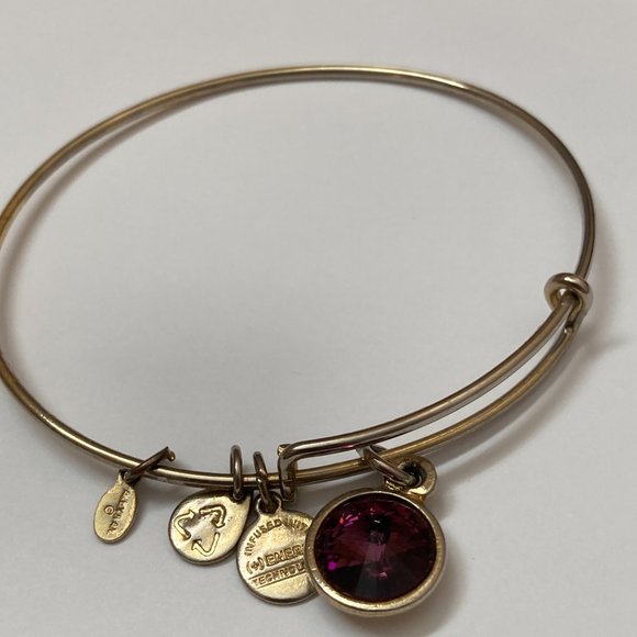 Alex and Ani February Birthday Bracelet - Picture 3 of 4